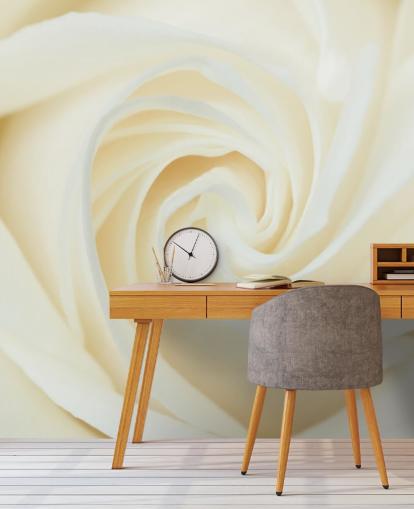 Close up of White Rose Wall Mural Close up of White Rose Wall Mural