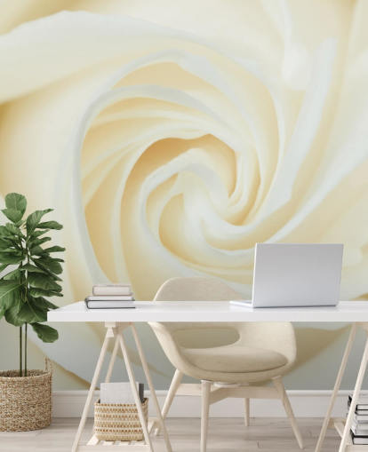 Close up of White Rose Wall Mural 