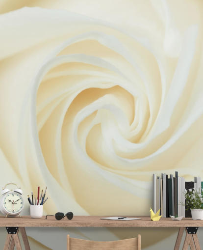 Nærbilde av White Rose Wall Mural 