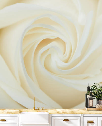 Nærbilde av White Rose Wall Mural Nærbilde av White Rose Wall Mural