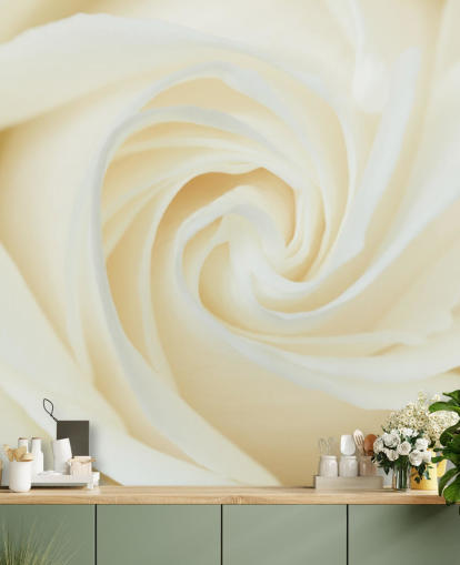 Close up of White Rose Wall Mural 