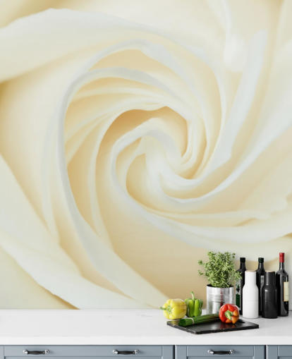 Papier Peint Fresque Gros plan d'une rose blanche 