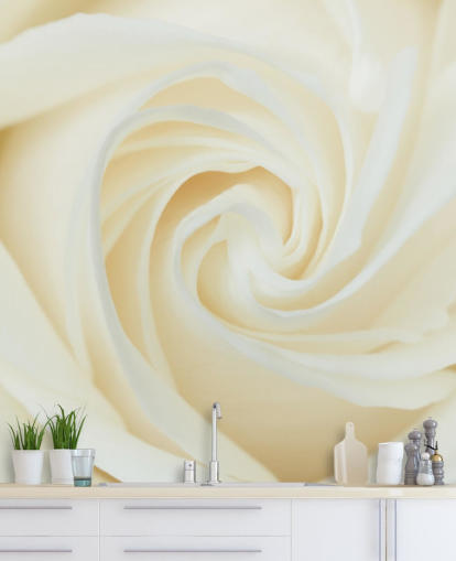 Close up of White Rose Wall Mural 