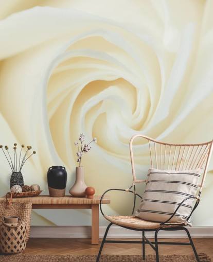 Papier Peint Fresque Gros plan d'une rose blanche Papier Peint Fresque Gros plan d'une rose blanche