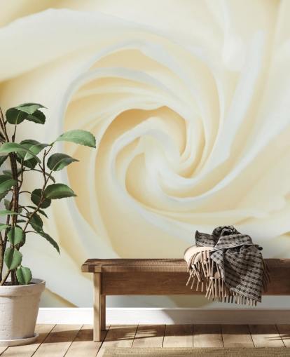 Papier Peint Fresque Gros plan d'une rose blanche 