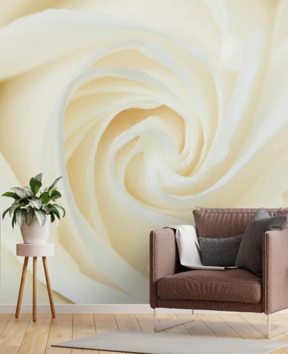 Papier Peint Fresque Gros plan d'une rose blanche 