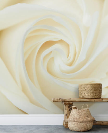 Nærbilde av White Rose Wall Mural Nærbilde av White Rose Wall Mural