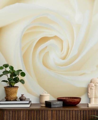 Nærbilde av White Rose Wall Mural Nærbilde av White Rose Wall Mural