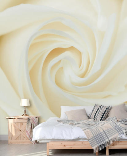 Close up of White Rose Wall Mural 