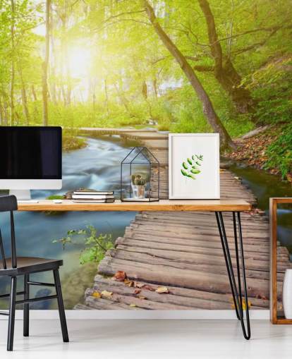 Board Bridge in Sunlit Forest Wallpaper