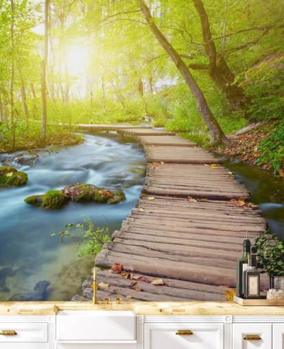 Board Bridge i Sunlit Forest Baggrund Board Bridge i Sunlit Forest Baggrund