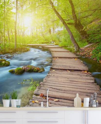 Board Bridge in Sunlit Forest Wallpaper Board Bridge in Sunlit Forest Wallpaper
