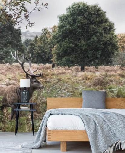 Fondo de pantalla de ciervo solitario en el Parque Nacional Fondo de pantalla de ciervo solitario en el Parque Nacional