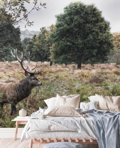 Fond d'écran Cerf solitaire dans le parc national