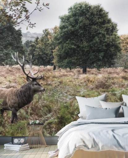 Lonely Stag in National Park Wallpaper