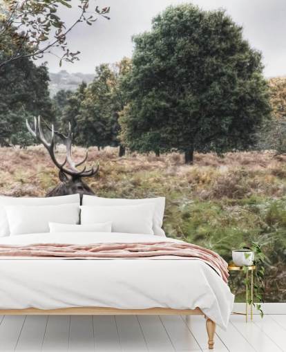 Lonely Stag in National Park Wallpaper