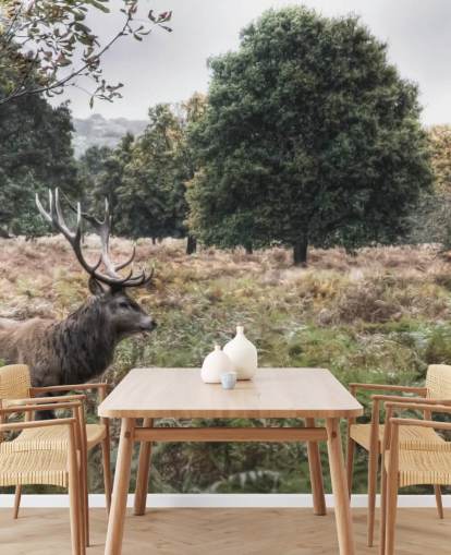 Lonely Stag in National Park Wallpaper Lonely Stag in National Park Wallpaper