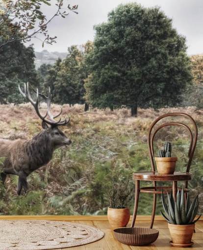 Lonely Stag in National Park Wallpaper