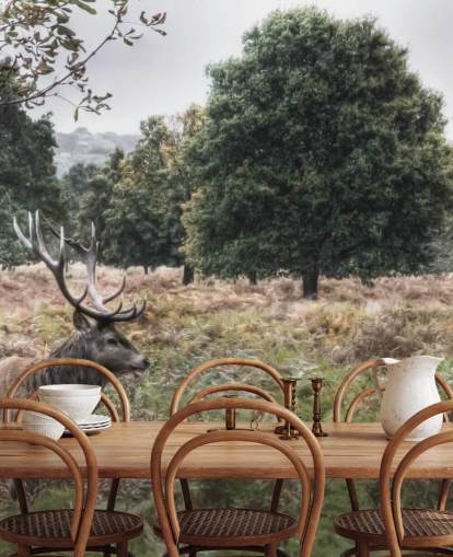 Lonely Stag in National Park Wallpaper Lonely Stag in National Park Wallpaper