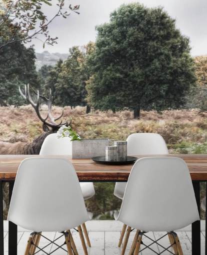 Lonely Stag in National Park Wallpaper