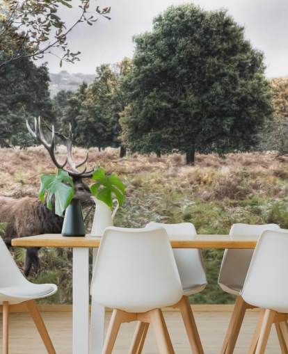 Carta da parati con cervo solitario nel parco nazionale Carta da parati con cervo solitario nel parco nazionale