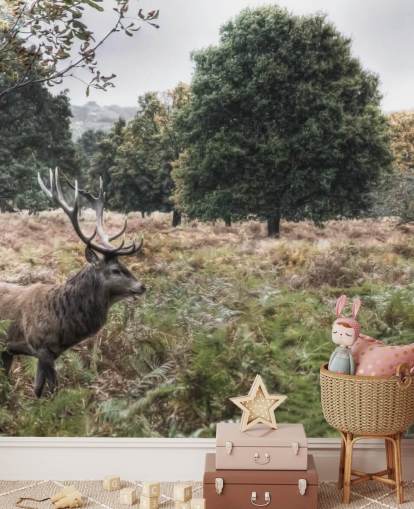 Fond d'écran Cerf solitaire dans le parc national
