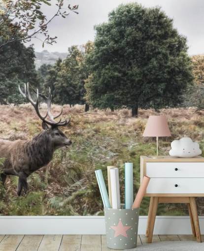 Ensom hjort i National Park Bakgrunn