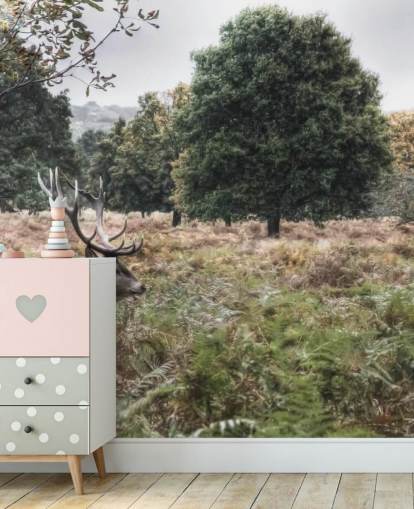 Carta da parati con cervo solitario nel parco nazionale