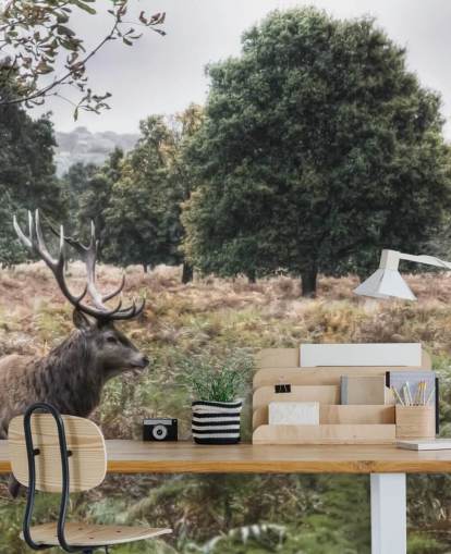 Lonely Stag in National Park Wallpaper