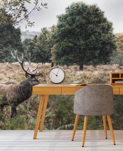 Eenzaam hert in Nationaal Park Behang Eenzaam hert in Nationaal Park Behang