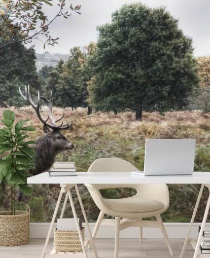 Lonely Stag in National Park Wallpaper