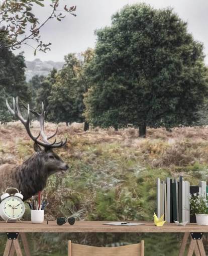 Eenzaam hert in Nationaal Park Behang Eenzaam hert in Nationaal Park Behang