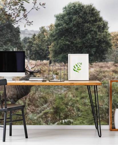 Lonely Stag in National Park Wallpaper Lonely Stag in National Park Wallpaper