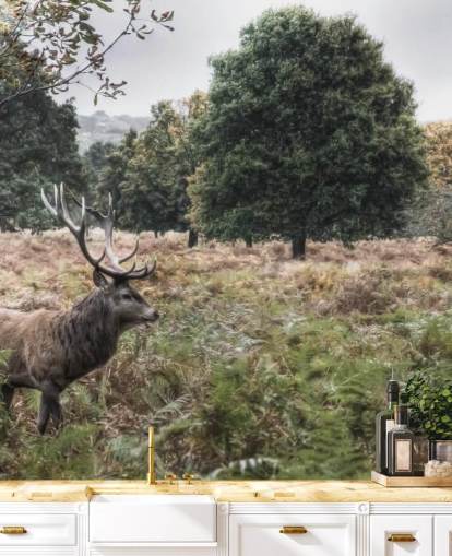 Einsamer Hirsch im Nationalpark Tapete