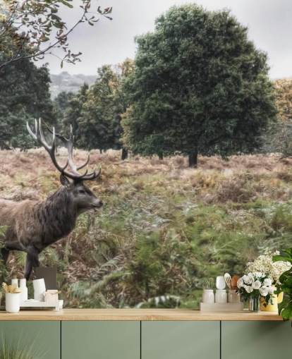 Lonely Stag in National Park Wallpaper