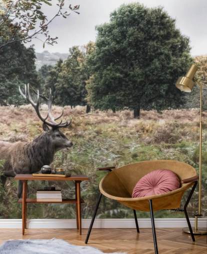 Lonely Stag in National Park Wallpaper