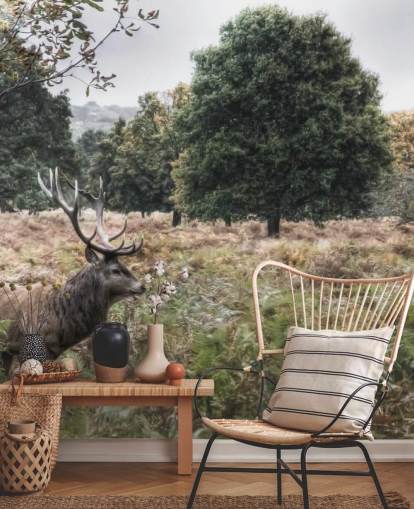 Lonely Stag in National Park Wallpaper