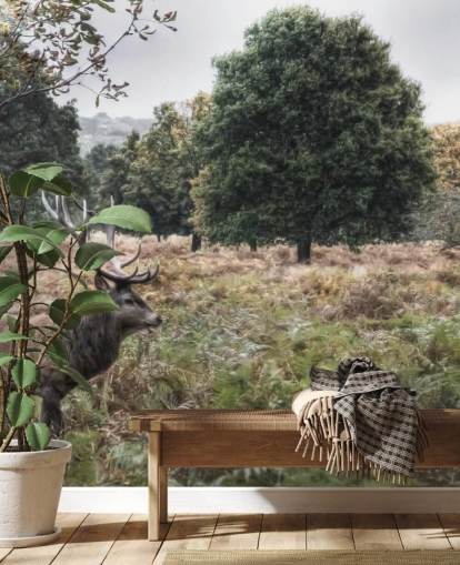 Lonely Stag in National Park Wallpaper