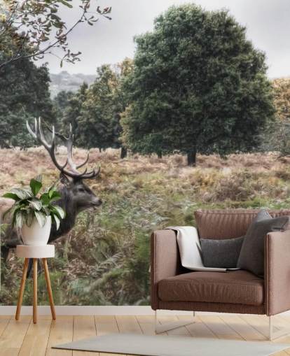 Fondo de pantalla de ciervo solitario en el Parque Nacional