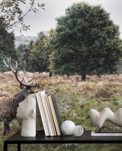 Lonely Stag in National Park Wallpaper