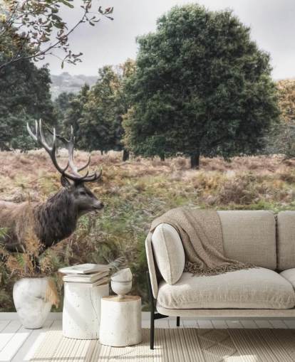 Lonely Stag in National Park Wallpaper Lonely Stag in National Park Wallpaper