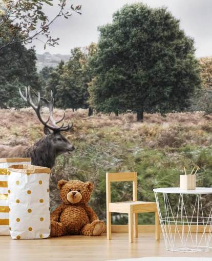 Lonely Stag in National Park Wallpaper