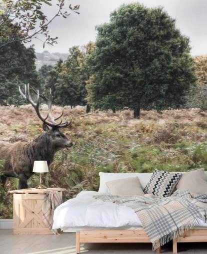 Lonely Stag kansallispuistossa Taustakuva