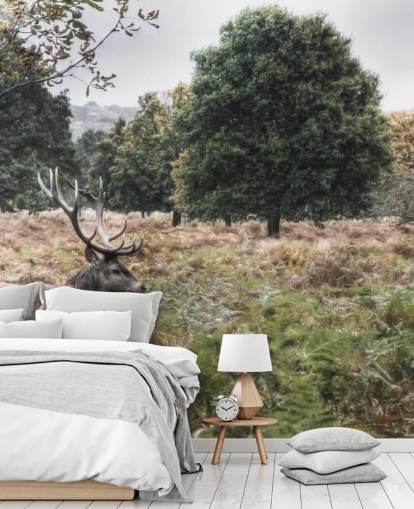 Lonely Stag in National Park Wallpaper Lonely Stag in National Park Wallpaper