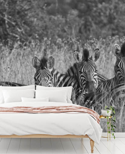 Zebras Huddled Together Muurschildering Zebras Huddled Together Muurschildering
