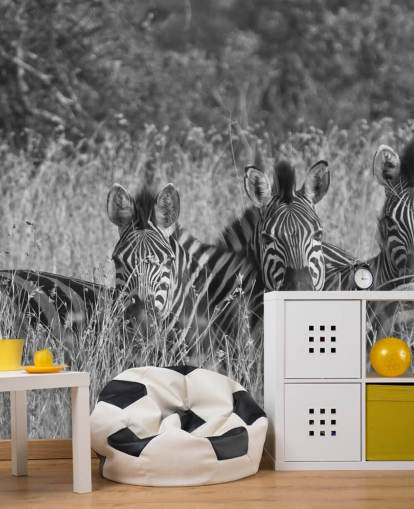 Mural de parede de zebras amontoadas