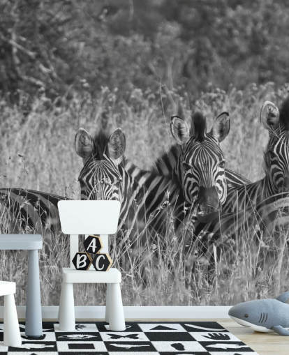 Zebras zusammengekauert Fototapete