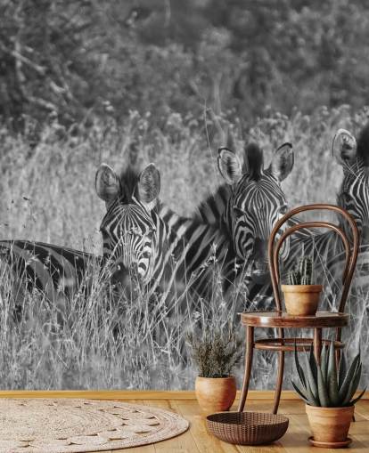 Zebras Huddled Together Wall Mural