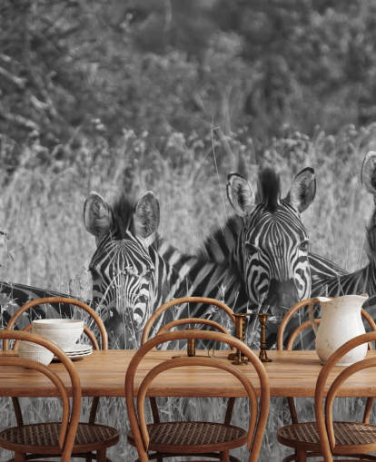 Zebras Huddled Tillsammans Väggmålning Zebras Huddled Tillsammans Väggmålning