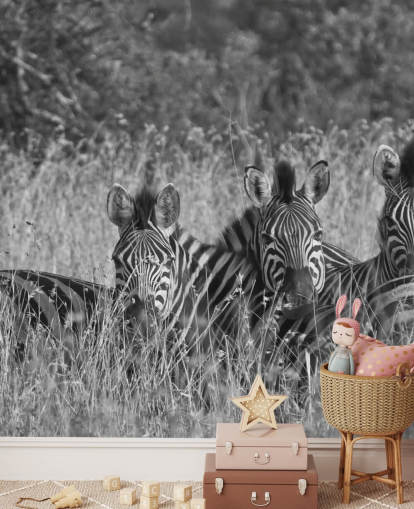 Zebras zusammengekauert Fototapete Zebras zusammengekauert Fototapete